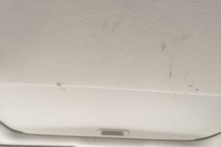 Used Honda Civic 2016 220TURBO CVT Luxury Edition Headliner