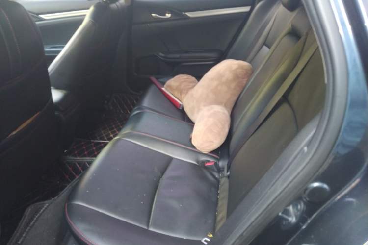 Used Honda Civic 2016 220TURBO CVT Luxury Edition Left Rear Seat