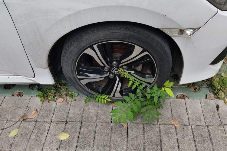 Used Honda Civic 2016 220TURBO CVT Prestige Edition Right Front Wheel Hub