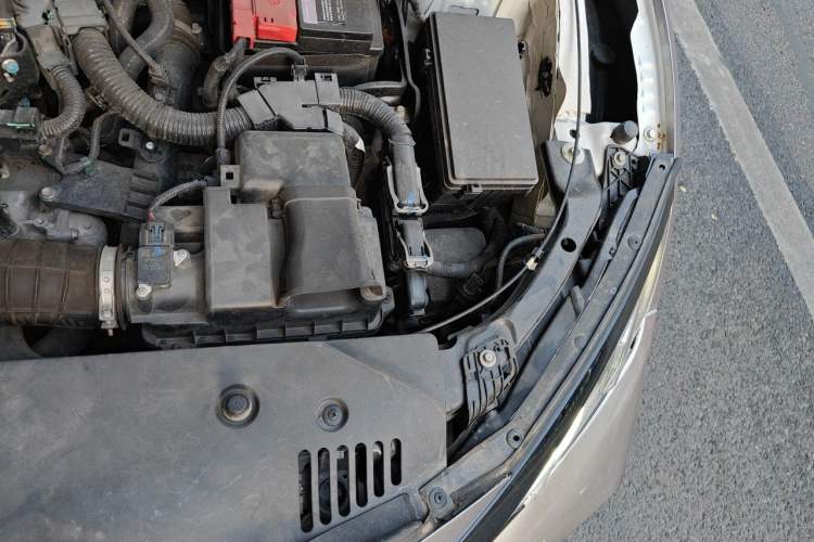 Used Honda Civic 2016 220TURBO CVT Luxury Edition Engine Bay Left