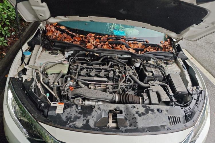 Used Honda Civic 2016 220TURBO CVT Luxury Edition Engine Bay