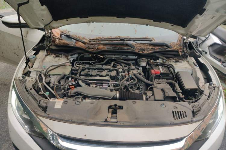 Used Honda Civic 2016 220TURBO CVT Luxury Edition Engine Bay