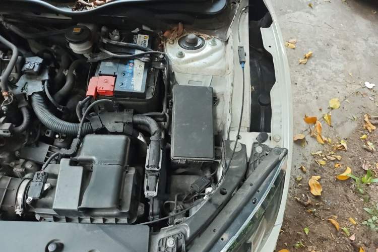 Used Honda Civic 2016 220TURBO CVT Luxury Edition Engine Bay Left