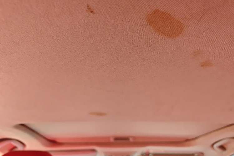 Used Honda Civic 2016 220TURBO CVT Luxury Edition Headliner