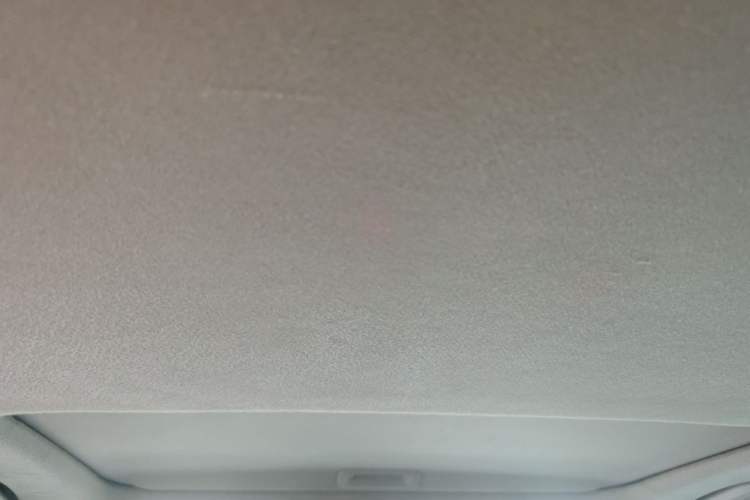 Used Honda Civic 2016 220TURBO Manual Luxury Edition Headliner