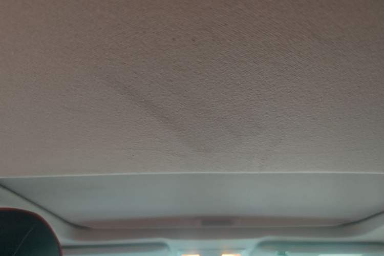Used Honda Civic 2016 220TURBO CVT Luxury Edition Headliner