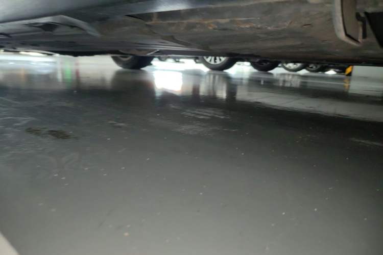 Used Honda Civic 2019 220TURBO CVT Dynamic Edition China VI Chassis Rear Left