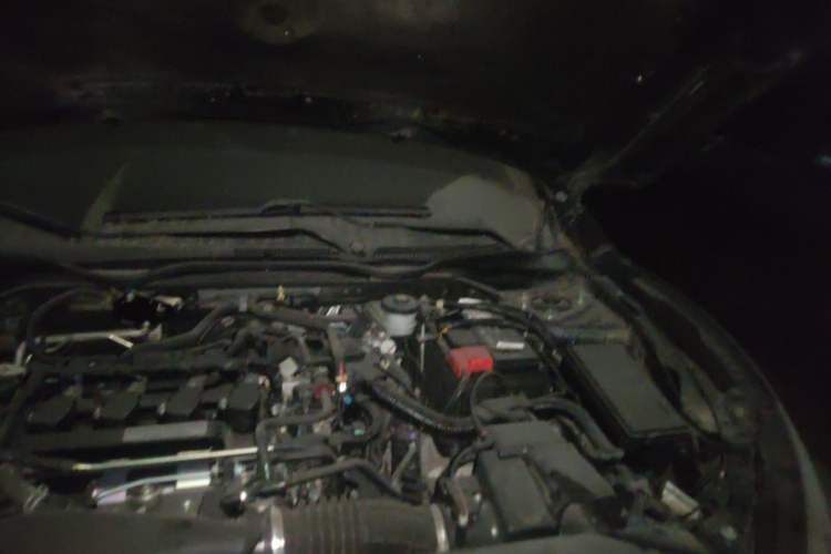 Used Honda Civic 2019 220TURBO CVT Dynamic Edition China VI Engine Bay Left