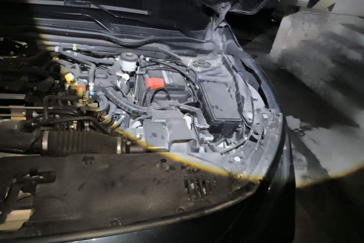 Used Honda Civic 2019 220TURBO CVT Dynamic Edition China VI Engine Bay Left