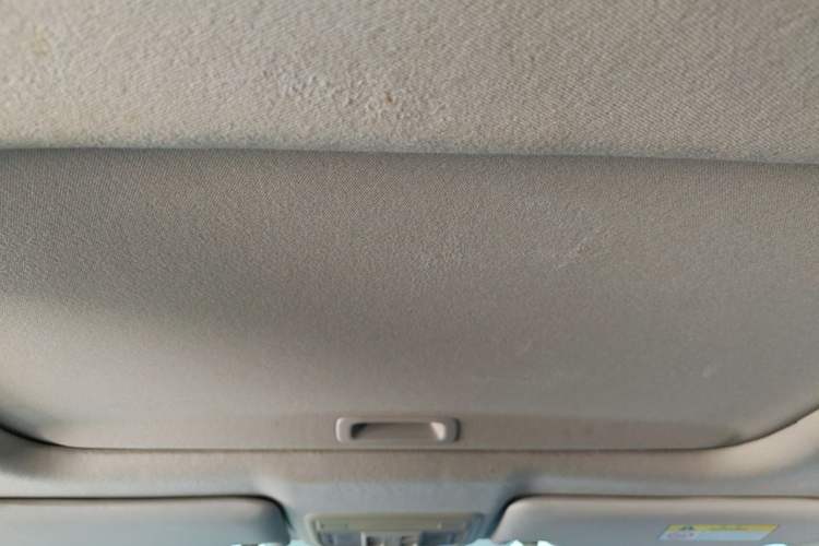 Used Honda Civic 2019 220TURBO CVT Dynamic Edition China VI Headliner
