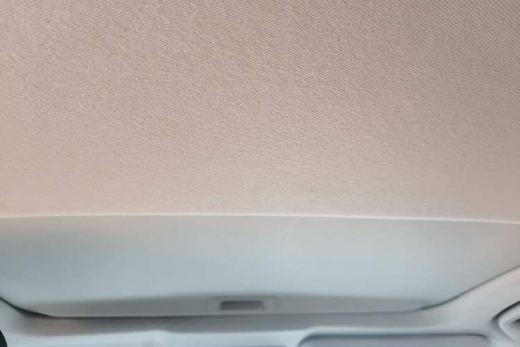 Used Honda Civic 2019 220TURBO CVT Dynamic Edition China VI Headliner