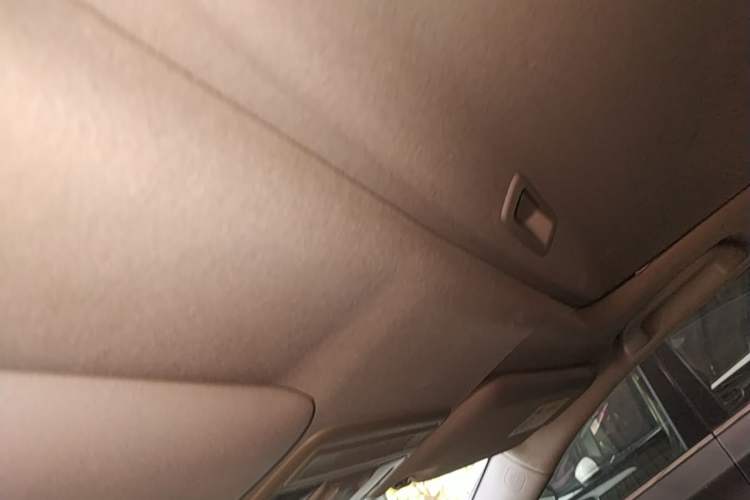 Used Honda Civic 2019 220TURBO CVT Dynamic Edition China VI Headliner