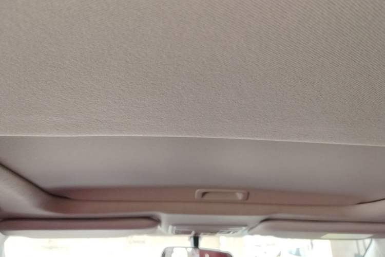 Used Honda Civic 2019 220TURBO CVT Dynamic Edition China VI Headliner