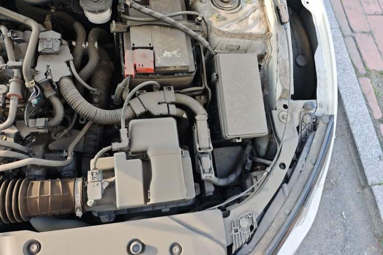Used Honda Civic 2019 220TURBO CVT Dynamic Edition China VI Engine Bay Left