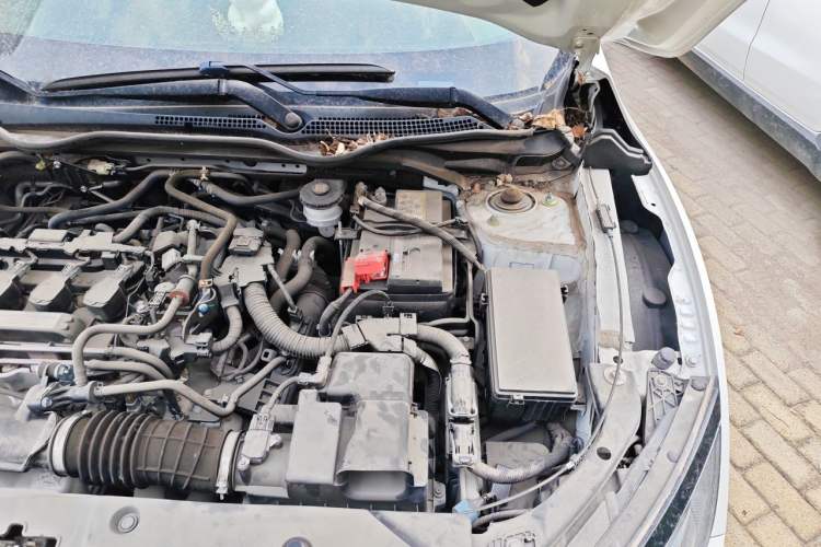 Used Honda Civic 2019 220TURBO CVT Dynamic Edition China VI Engine Bay Left