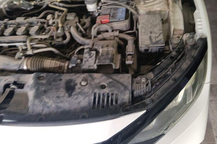 Used Honda Civic 2019 220TURBO CVT Dynamic Edition China VI Engine Bay Left