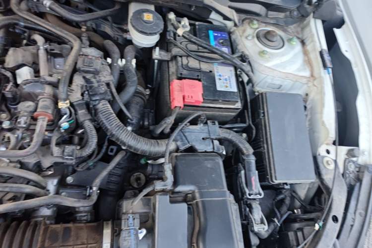 Used Honda Civic 2019 220TURBO CVT Dynamic Edition China VI Emission Standard Engine Bay Left