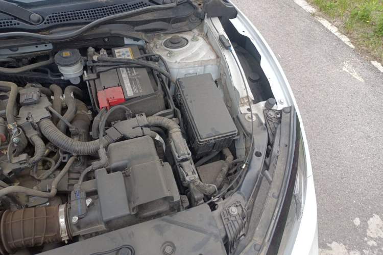Used Honda Civic 2019 220TURBO CVT Dynamic Edition China VI Engine Bay Left