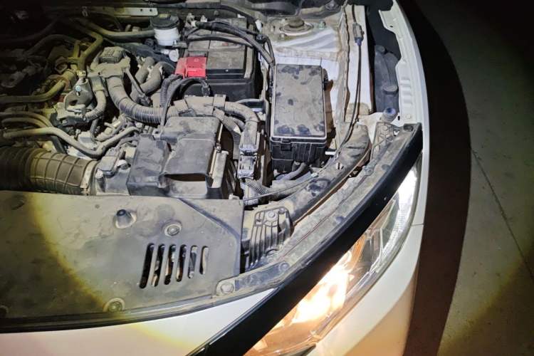 Used Honda Civic 2019 220TURBO CVT Dynamic Edition China VI Engine Bay Left