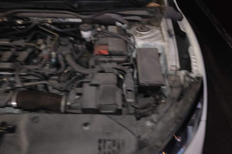 Used Honda Civic 2019 220TURBO CVT Dynamic Edition China VI Engine Bay Left
