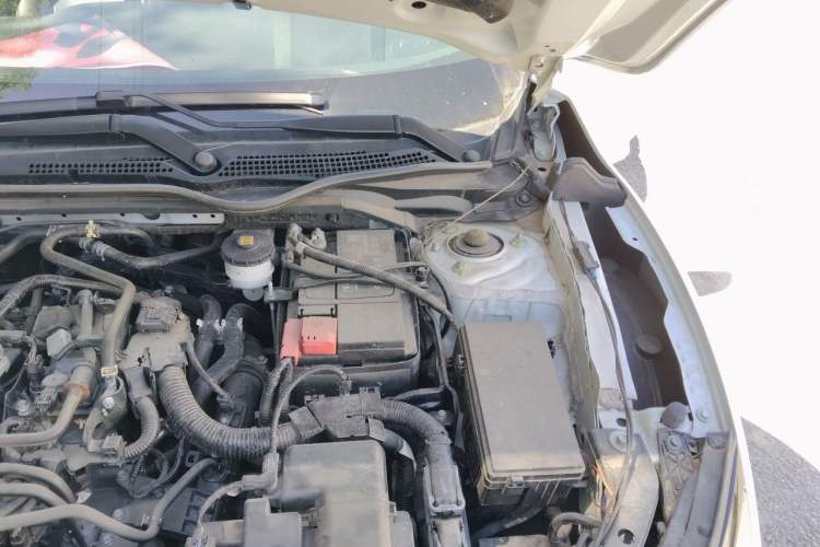 Used Honda Civic 2019 220TURBO CVT Dynamic Edition China VI Emission Standard Engine Bay Left