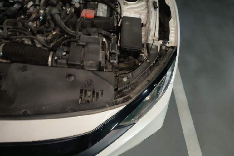 Used Honda Civic 2019 220TURBO CVT Dynamic Edition China VI Engine Bay Left