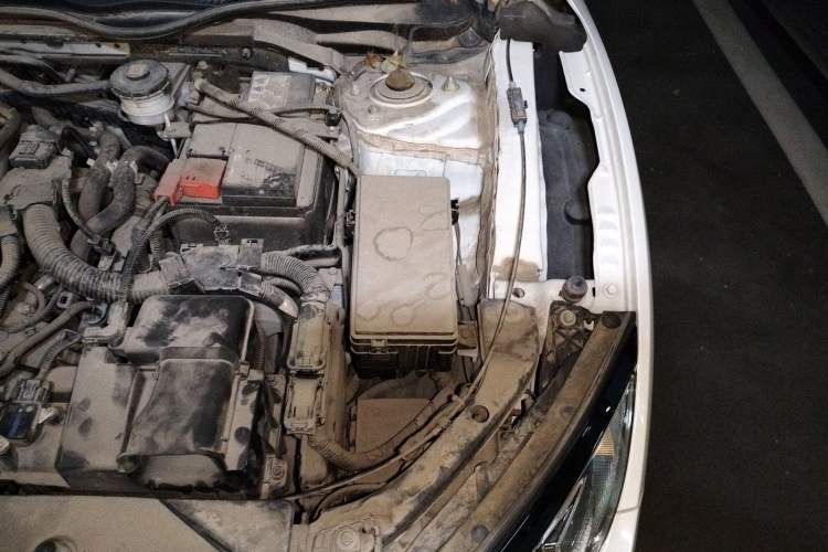 Used Honda Civic 2019 220TURBO CVT Dynamic Edition China VI Emission Standard Engine Bay Left