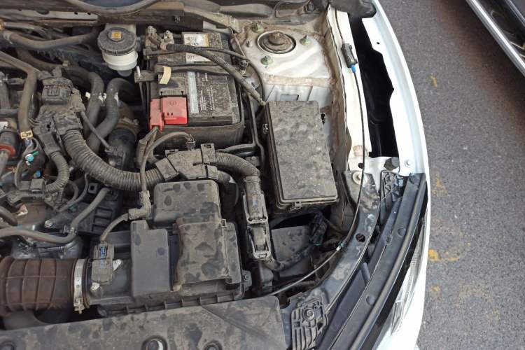 Used Honda Civic 2019 220TURBO CVT Dynamic Edition China VI Engine Bay Left