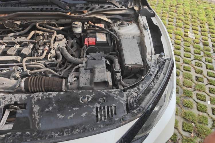 Used Honda Civic 2019 220TURBO CVT Dynamic Edition China VI Engine Bay Left