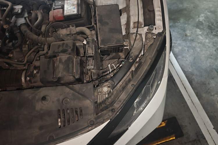 Used Honda Civic 2019 220TURBO CVT Dynamic Edition China VI Emission Standard Engine Bay Left