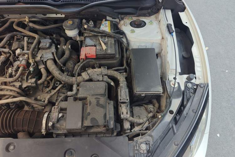 Used Honda Civic 2019 220TURBO CVT Dynamic Edition China VI Engine Bay Left
