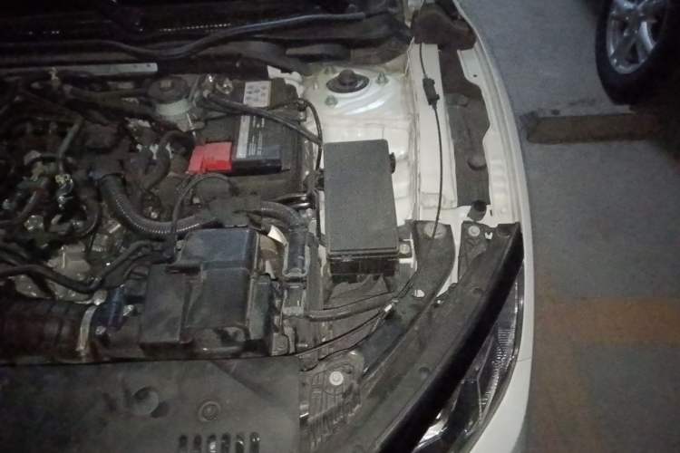 Used Honda Civic 2019 220TURBO CVT Dynamic Edition China VI Engine Bay Left