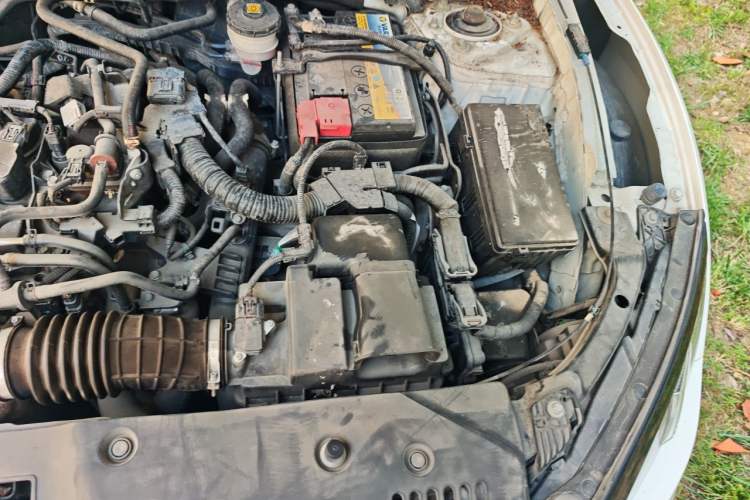 Used Honda Civic 2019 220TURBO CVT Dynamic Edition China VI Engine Bay Left