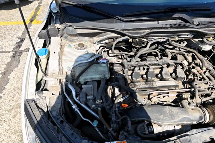 Used Honda Civic 2019 220TURBO CVT Dynamic Edition China VI Engine Bay Right