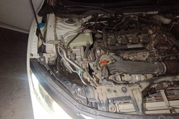 Used Honda Civic 2019 220TURBO CVT Dynamic Edition China VI Engine Bay Right