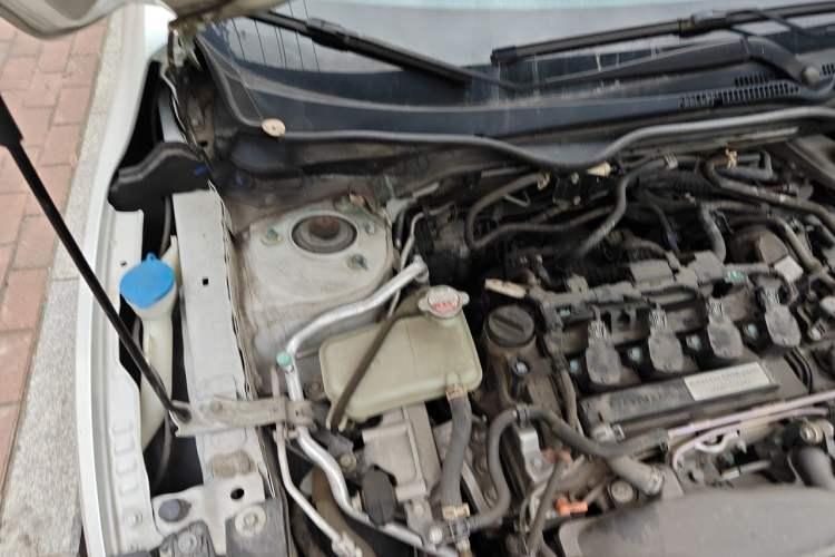 Used Honda Civic 2019 220TURBO CVT Dynamic Edition China VI Emission Standard Engine Bay Right