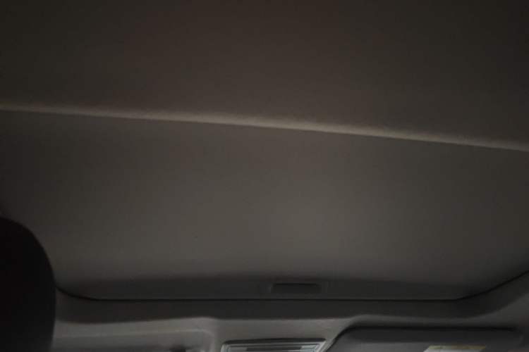 Used Honda Civic 2019 220TURBO CVT Dynamic Edition China VI Headliner