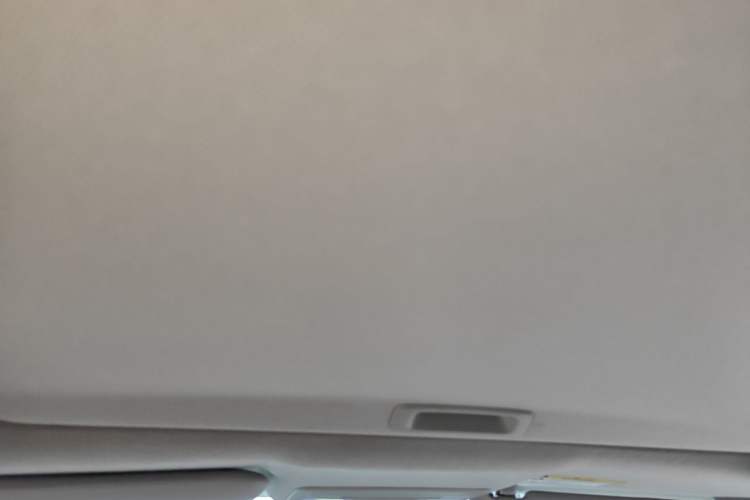 Used Honda Civic 2019 220TURBO CVT Dynamic Edition China VI Headliner