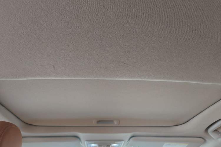 Used Honda Civic 2019 220TURBO CVT Dynamic Edition China VI Headliner