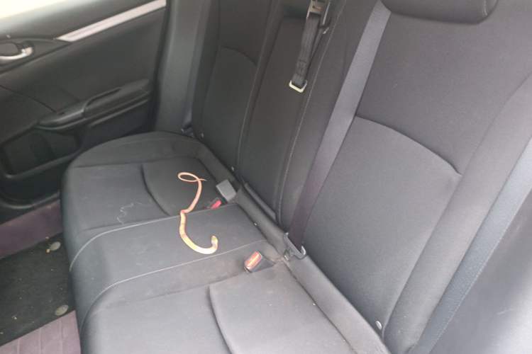 Used Honda Civic 2019 220TURBO CVT Dynamic Edition China VI Left Rear Seat