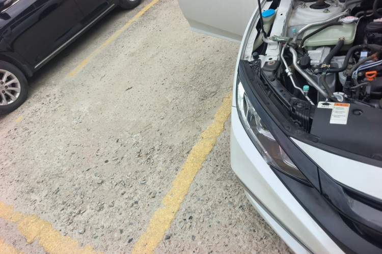 Used Honda Civic 2019 220TURBO Manual Jinkong Edition China V Emission Standard Right Front Headlight