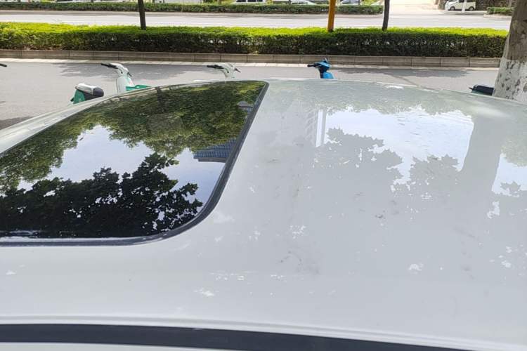 Used Honda Civic 2019 220TURBO CVT Dynamic Edition China VI Roof
