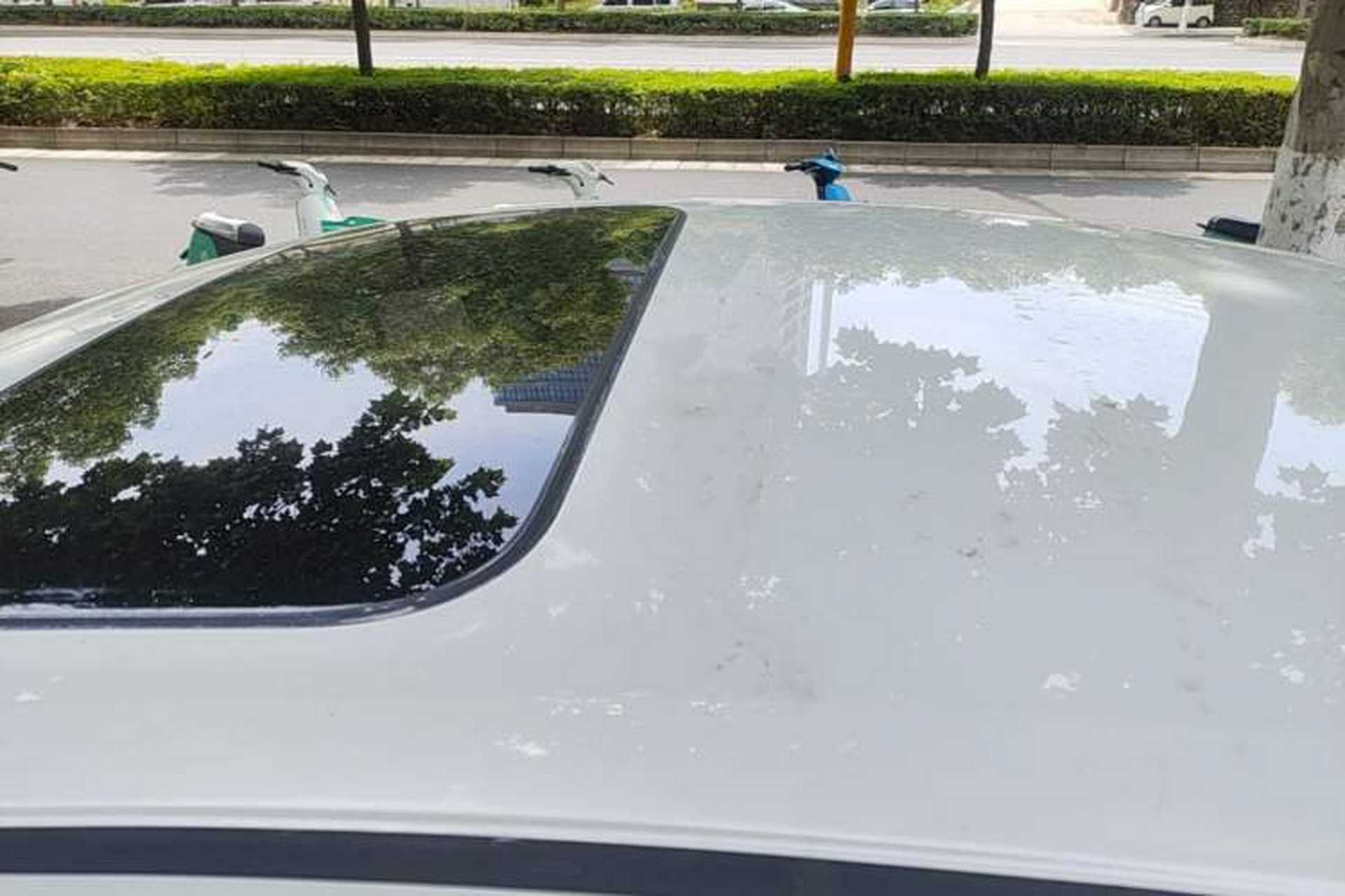 Used Honda Civic 2019 220TURBO CVT Dynamic Edition China VI Roof