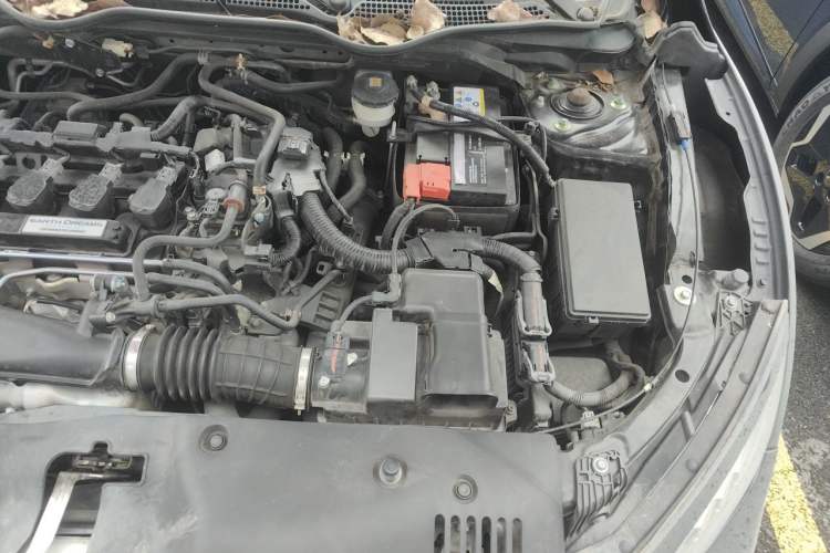Used Honda Civic 2021 HATCHBACK 220TURBO CVT Trendy Cool Edition Engine Bay Left