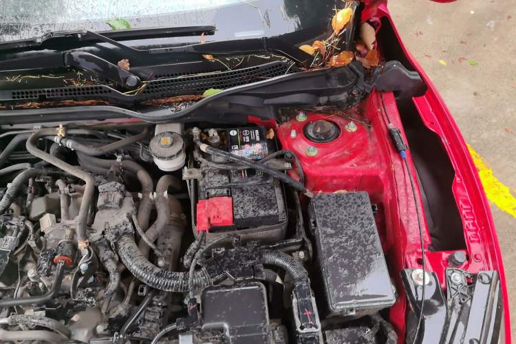 Used Honda Civic 2021 HATCHBACK 220TURBO CVT Trendy Cool Edition Engine Bay Left