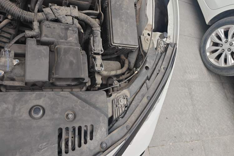 Used Honda Civic 2021 HATCHBACK 220TURBO CVT Trendy Cool Edition Engine Bay Left