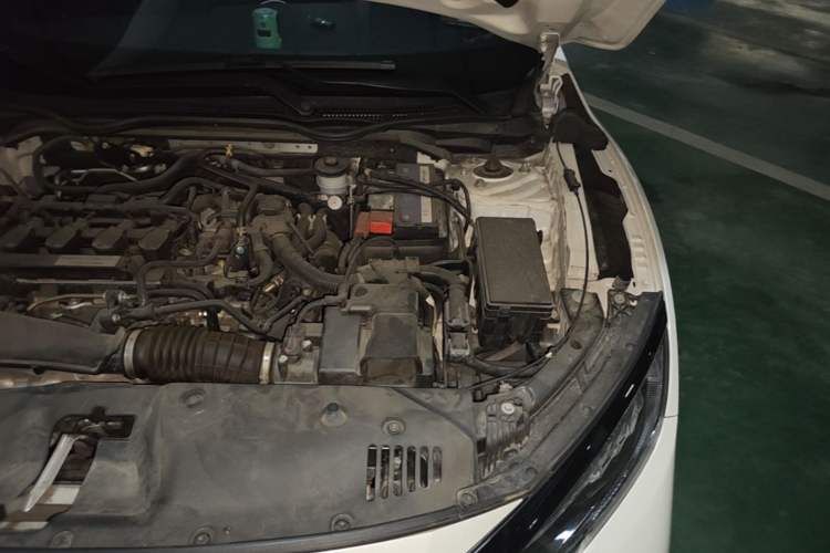 Used Honda Civic 2021 HATCHBACK 220TURBO CVT Trendy Cool Edition Engine Bay Left