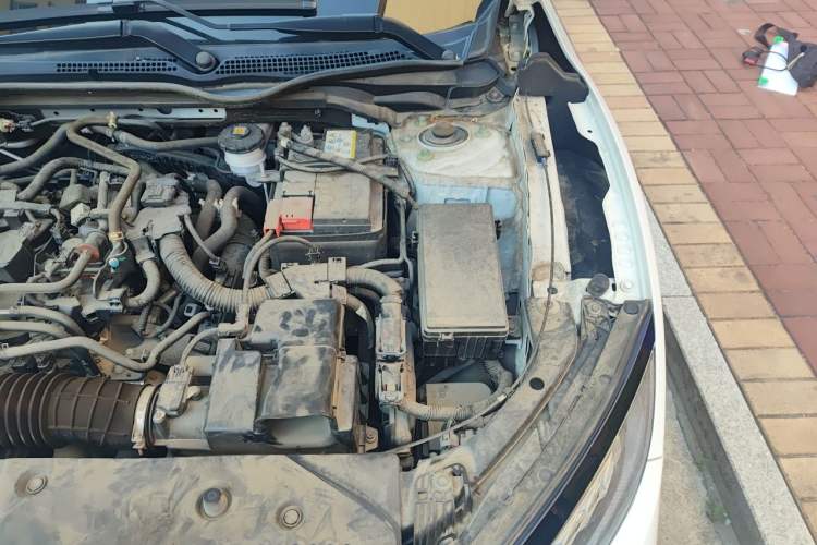 Used Honda Civic 2021 HATCHBACK 220TURBO CVT Trendy Cool Edition Engine Bay Left