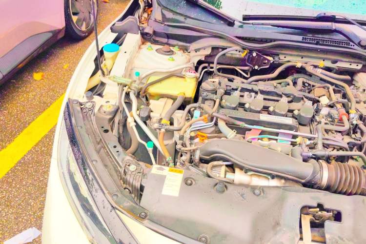 Used Honda Civic 2021 HATCHBACK 220TURBO CVT Trendy Cool Edition Engine Bay Right