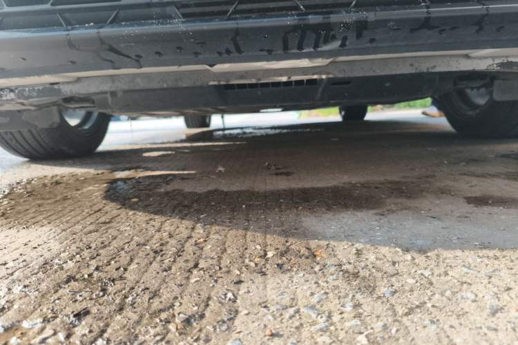 Used Honda Civic 2022 240TURBO CVT Dynamic Edition Chassis Front